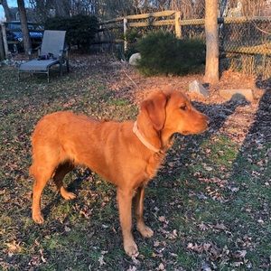 Meet your Posher, Adam